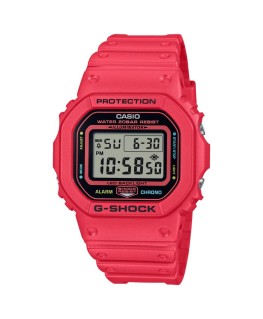 Reloj Casio Origen Serie DW-5600 DW-5600EP-4