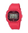 Reloj Casio Origen Serie DW-5600 DW-5600EP-4